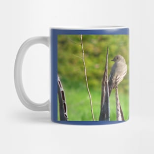 Prickly perch Mug